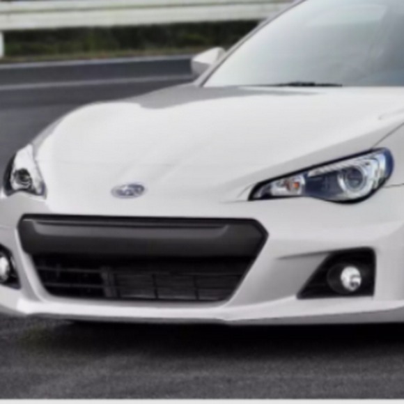 Meet your Posher, Chichi - Picture 1 of 1